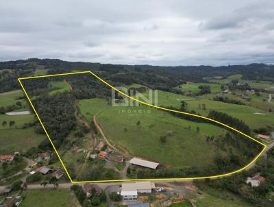 Terreno Rural para Venda, em Pouso Redondo, bairro Rio de Trs