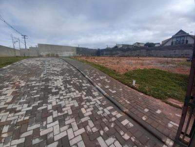 Terreno para Venda, em Curitiba, bairro Atuba