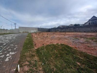 Terreno para Venda, em Curitiba, bairro Atuba