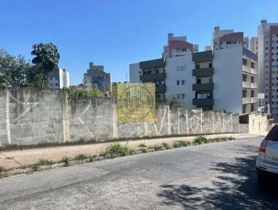 Terreno para Venda, em So Paulo, bairro Jardim Santa Terezinha (Zona Leste)