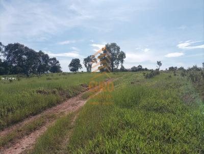 Fazenda para Venda, em Camapu, bairro Zona Rural