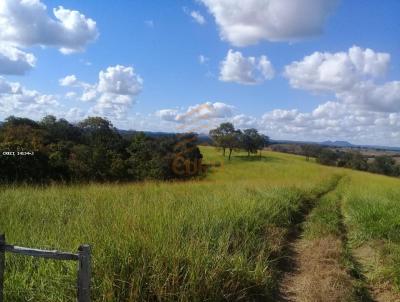 Fazenda para Venda, em Camapu, bairro Zona Rural