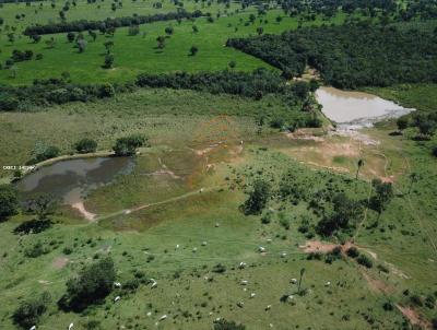 Fazenda para Venda, em Terenos, bairro Zona Rural