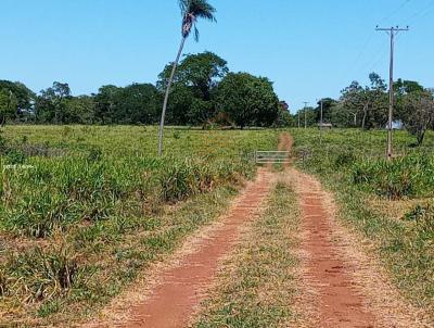 Fazenda para Venda, em Aquidauana, bairro Zona Rural