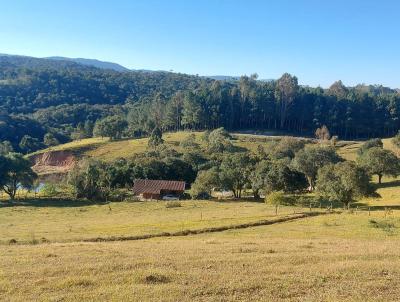 Stio / Chcara para Venda, em Bocaiva do Sul, bairro CABEA DANTA