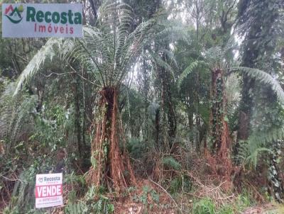 Terreno para Venda, em So Francisco de Paula, bairro SO BERNARDO