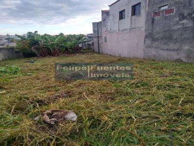 Terreno para Venda, em Mogi das Cruzes, bairro Vila Ceclia