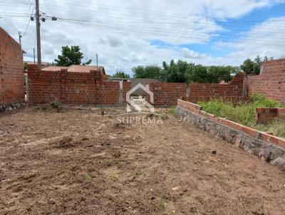 Terreno para Venda, em Paulo Afonso, bairro Cardeal Brando Vilela