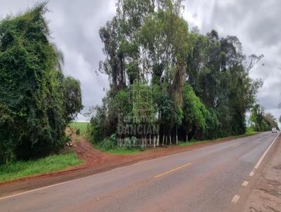 rea Rural para Venda, em Santa Rosa, bairro RS 344 - Olaria Waldow