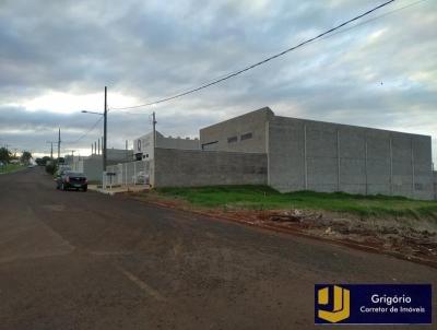 Terreno Comercial para Venda, em Marialva, bairro Jardim Itlia