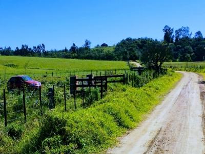 rea Rural para Venda, em So Loureno do Sul, bairro COQUEIRO
