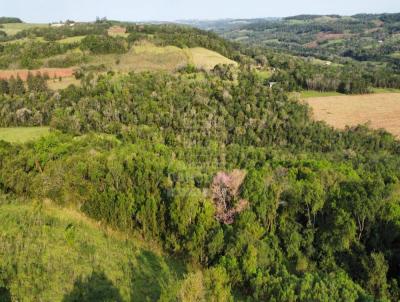 rea Rural para Venda, em Alecrim, bairro Santa Ines