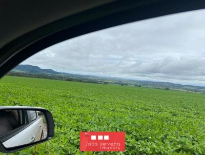 Fazenda para Venda, em Jaragu, bairro 