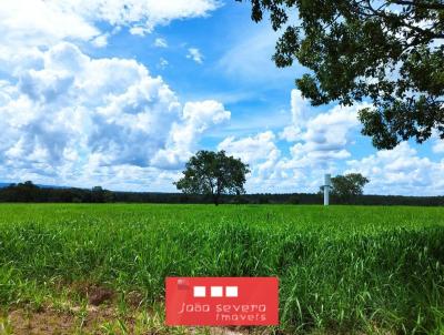 Fazenda para Venda, em Aragaras, bairro 