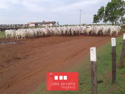 Fazenda para Venda, em Sandolndia, bairro 