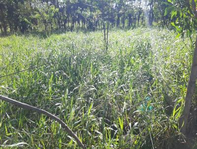 Terreno para Venda, em Maca, bairro IMBURO