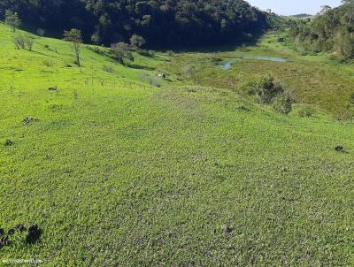 rea para Venda, em Maca, bairro IMBURO