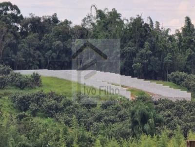 Terreno para Venda, em , bairro Vila Moraes