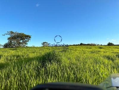 Fazenda para Venda, em Sonora, bairro 