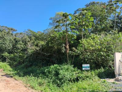 Terreno para Venda, em Barra Velha, bairro QUINTA DOS AORIANOS