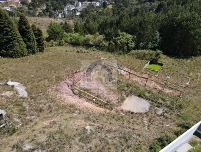 Terreno para Venda, em Campos do Jordo, bairro Vila Matilde