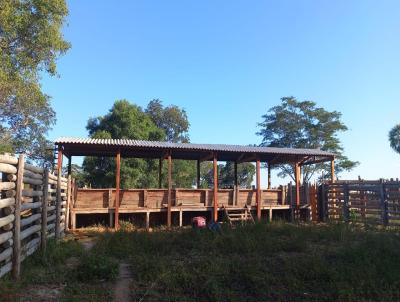 Fazenda para Venda, em Rio Verde de Mato Grosso, bairro Rural
