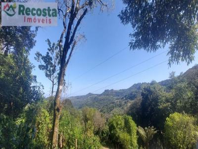 Chcara para Venda, em So Francisco de Paula, bairro RECOSTA