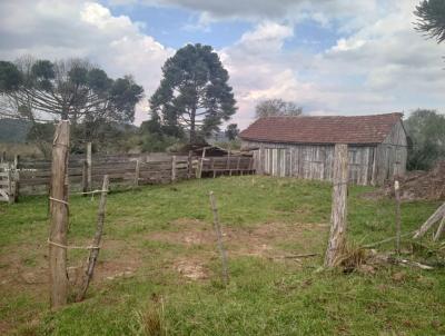 Fazenda para Venda, em Jaquirana, bairro -