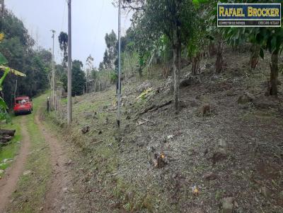 Stio para Venda, em Trs Coroas, bairro Canastra Alta