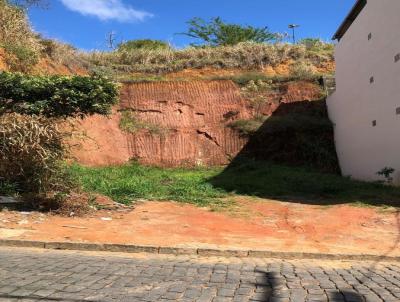 Terreno para Venda, em Leopoldina, bairro Mina De Ouro