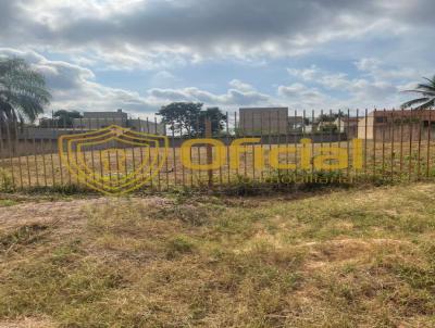 Terreno para Venda, em Rondonpolis, bairro Vila Goulart