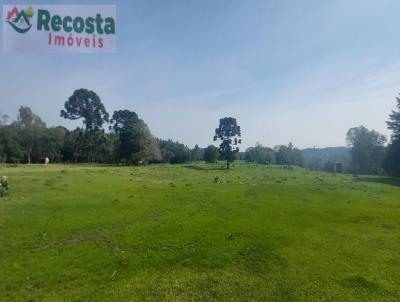 Chcara para Venda, em Trs Coroas, bairro RODEIO BONITO