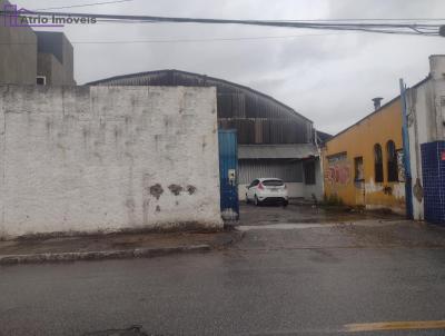 Terreno para Venda, em So Paulo, bairro Parque Edu Chaves