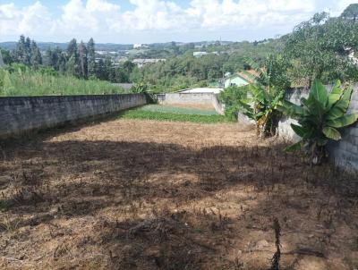 Barraco para Venda, em Campo Magro, bairro Centro