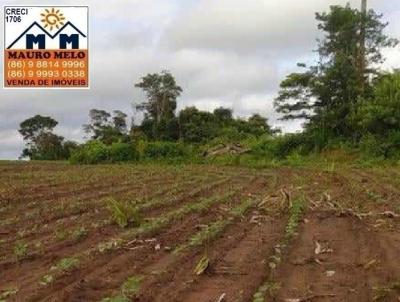 Fazenda para Venda, em Parnarama, bairro .