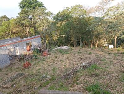 Terreno para Venda, em Ibina, bairro Centro