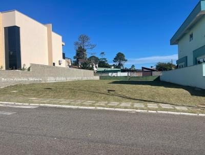 Terreno para Venda, em Florianópolis, bairro Rio Vermelho
