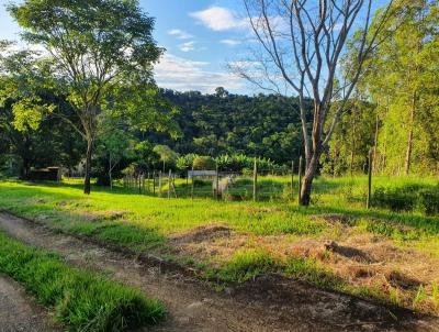 Stio para Venda, em Leopoldina, bairro rea Rural de Leopoldina, 5 dormitrios, 3 banheiros