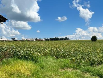 Terreno para Venda, em Espumoso, bairro Linha Cooperativa Velha