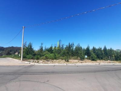 Terreno para Venda, em Garibaldi, bairro Alfndega