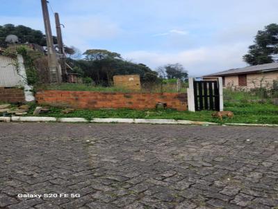 Terreno para Venda, em So Francisco de Paula, bairro Cip