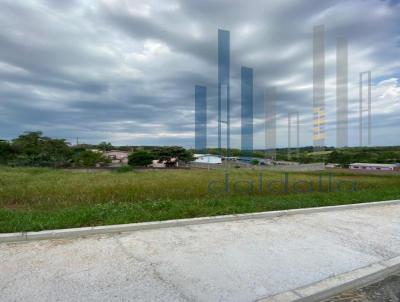 Terreno para Venda, em Frederico Westphalen, bairro Jardim Primavera