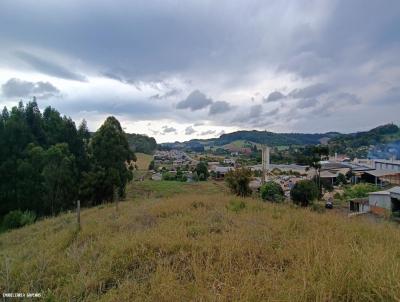 Ch�cara para Venda, em Bar�o de Cotegipe, bairro Centro