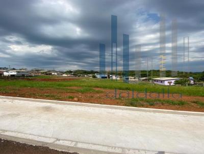 Terreno para Venda, em Frederico Westphalen, bairro Jardim Primavera