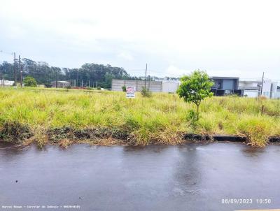 Terreno para Venda, em Umuarama, bairro Parque Residencial Viena III