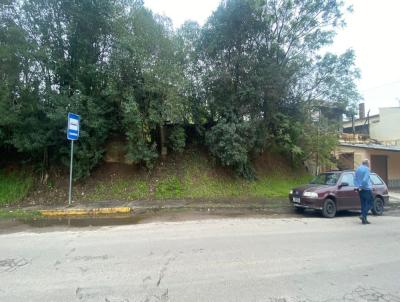 Terreno para Venda, em Santana do Livramento, bairro Carolina