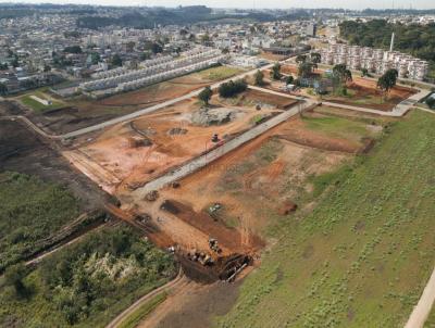 Terreno para Venda, em Araucria, bairro Capela Velha