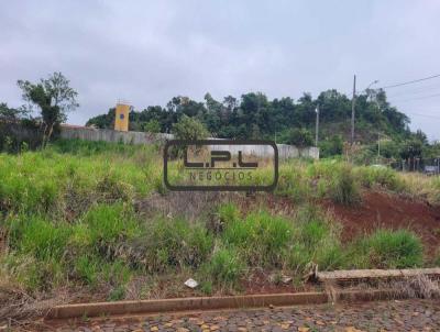 Terreno para Venda, em Laranjeiras do Sul, bairro LOTEAMENTO TERRA BRASILIS