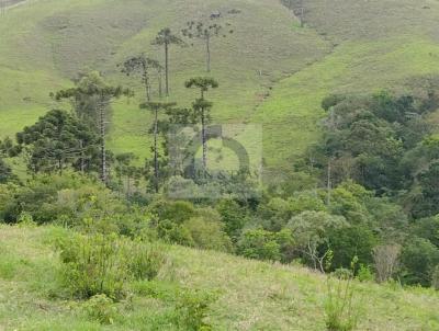 Terreno para Venda, em Campos do Jordo, bairro Z da Rosa