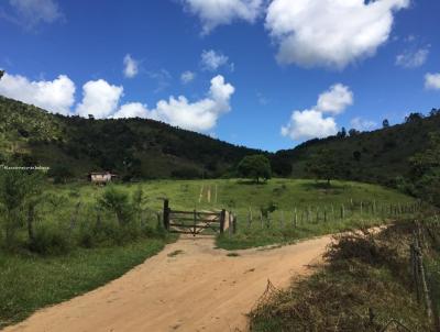 Fazenda para Venda, em Ipatinga, bairro Zona Rural